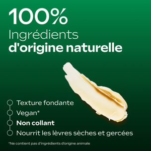 WELEDA - Skin Food Stick Lèvres - 4,8 g