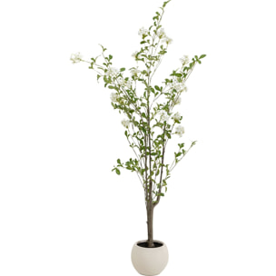 Plante décorative Plumbago 152cm Kare Design