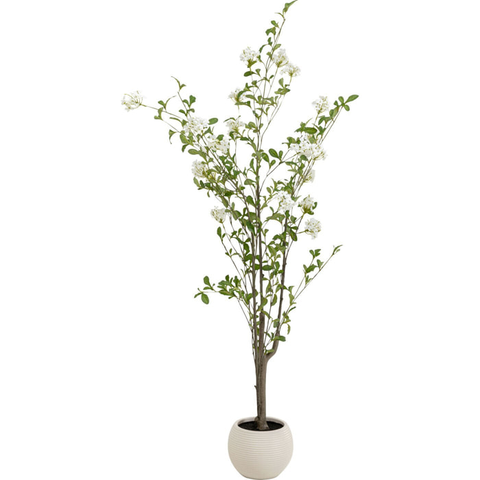 Plante décorative Plumbago 152cm Kare Design