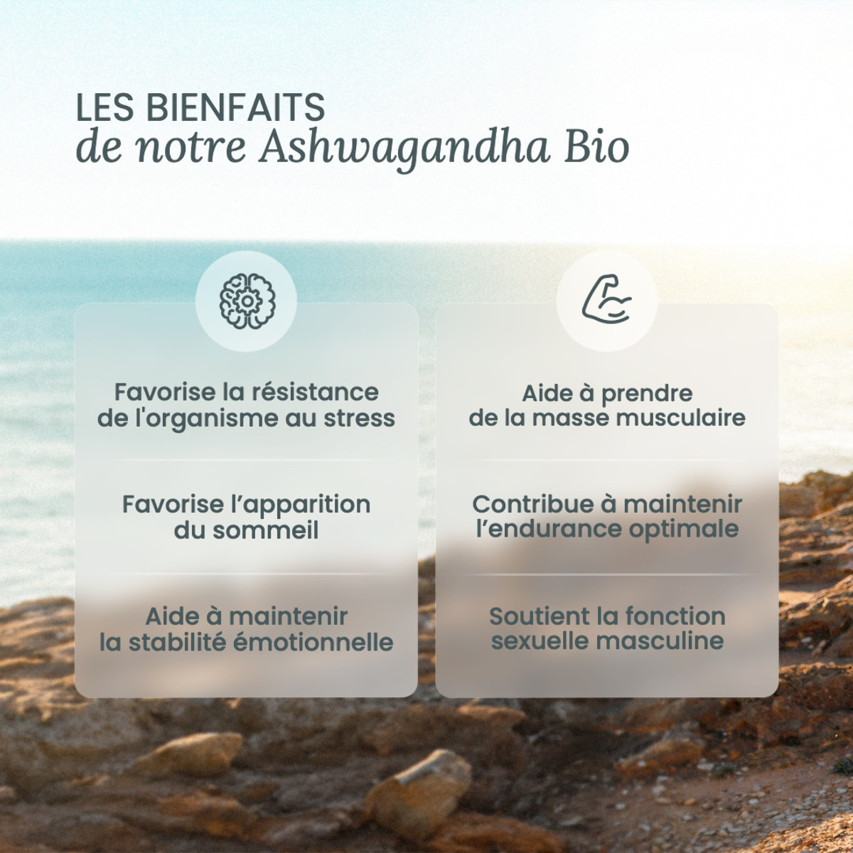 Nutri&Co Ashwagandha Bio KSM-66® Stress Sommeil & Musculation - 120 gélules Vegan