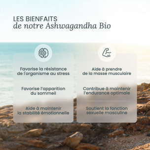 Nutri&Co Ashwagandha Bio KSM-66® Stress Sommeil & Musculation - 120 gélules Vegan