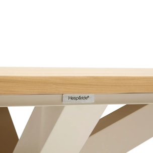 Table de jardin 10 places Oraclion marron