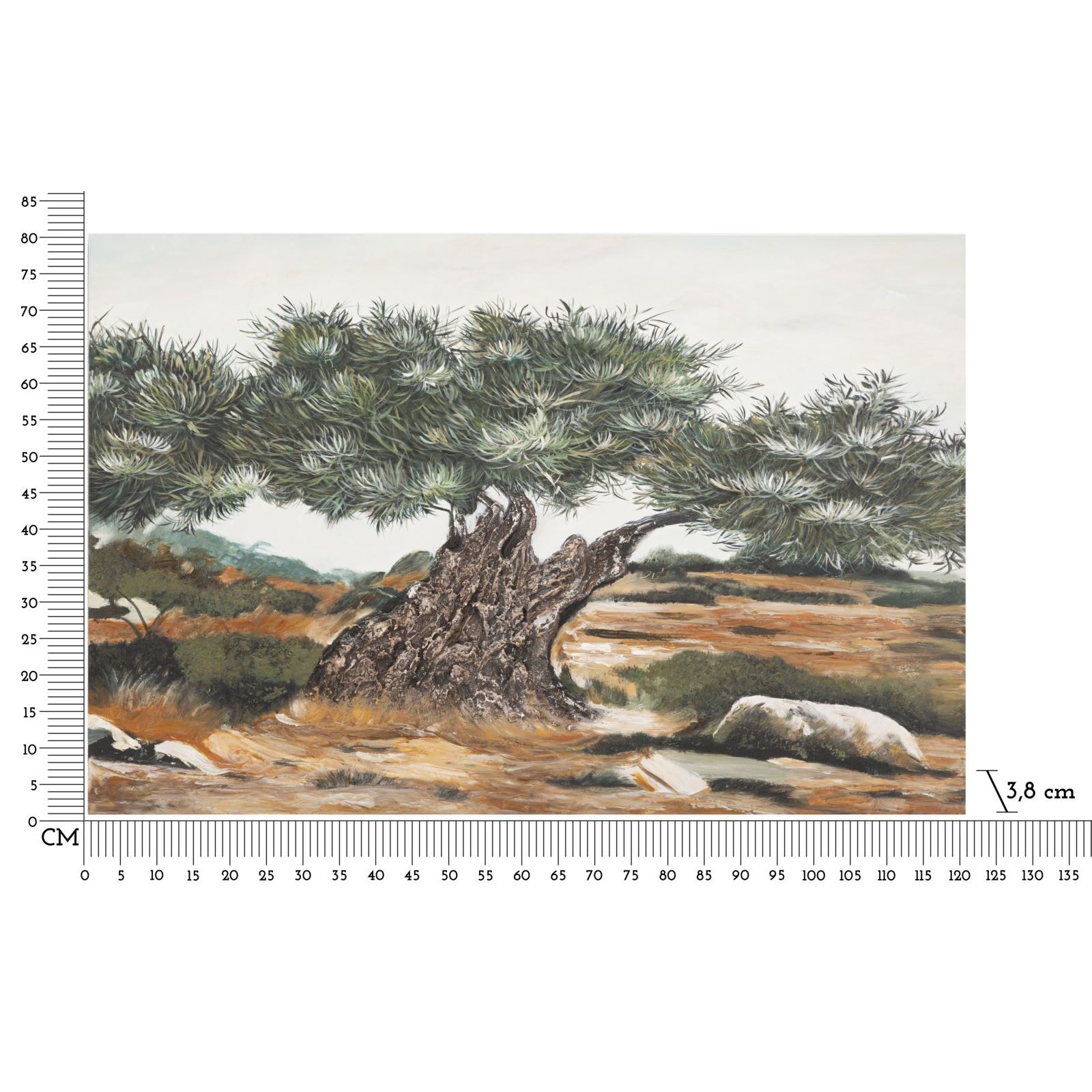 DIPINTO SU TELA OLIVO -B- CM 120X3,8X80