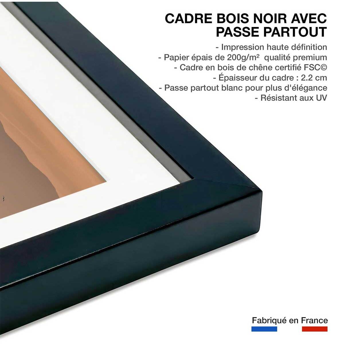 Affiche photo plage hossegor mouettes au pic Affiche sous cadre noir