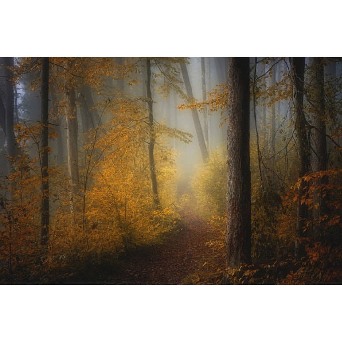 Tableau Automne rouge Tableau alu Dibond