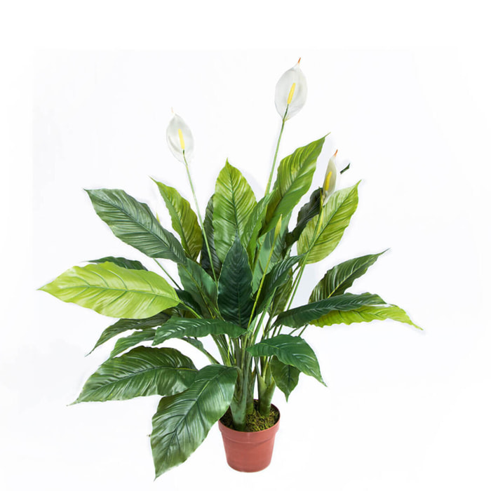 Planta Artificial Vela Del Viento 105 Cm