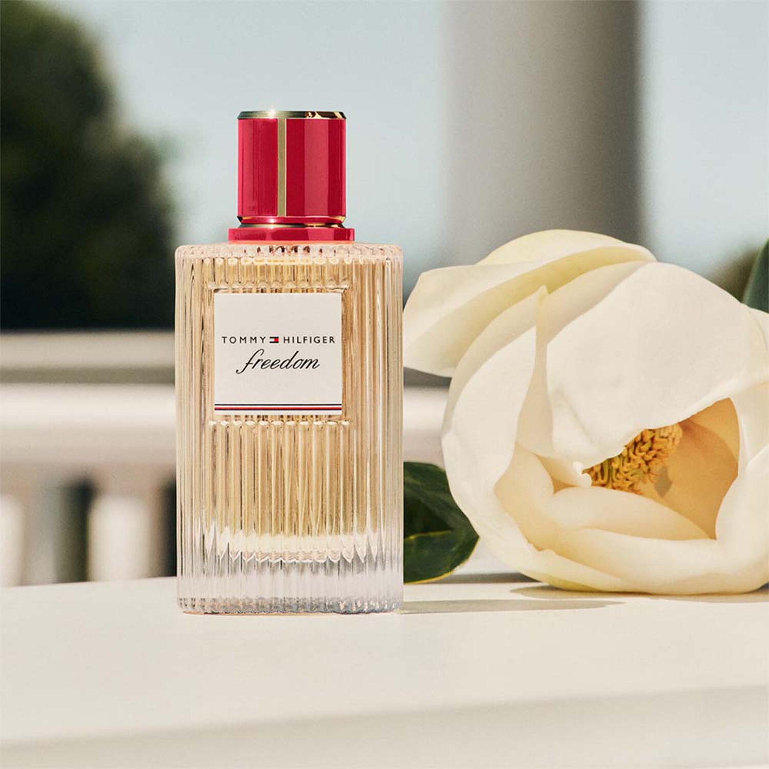 Freedom - Eau de Parfum