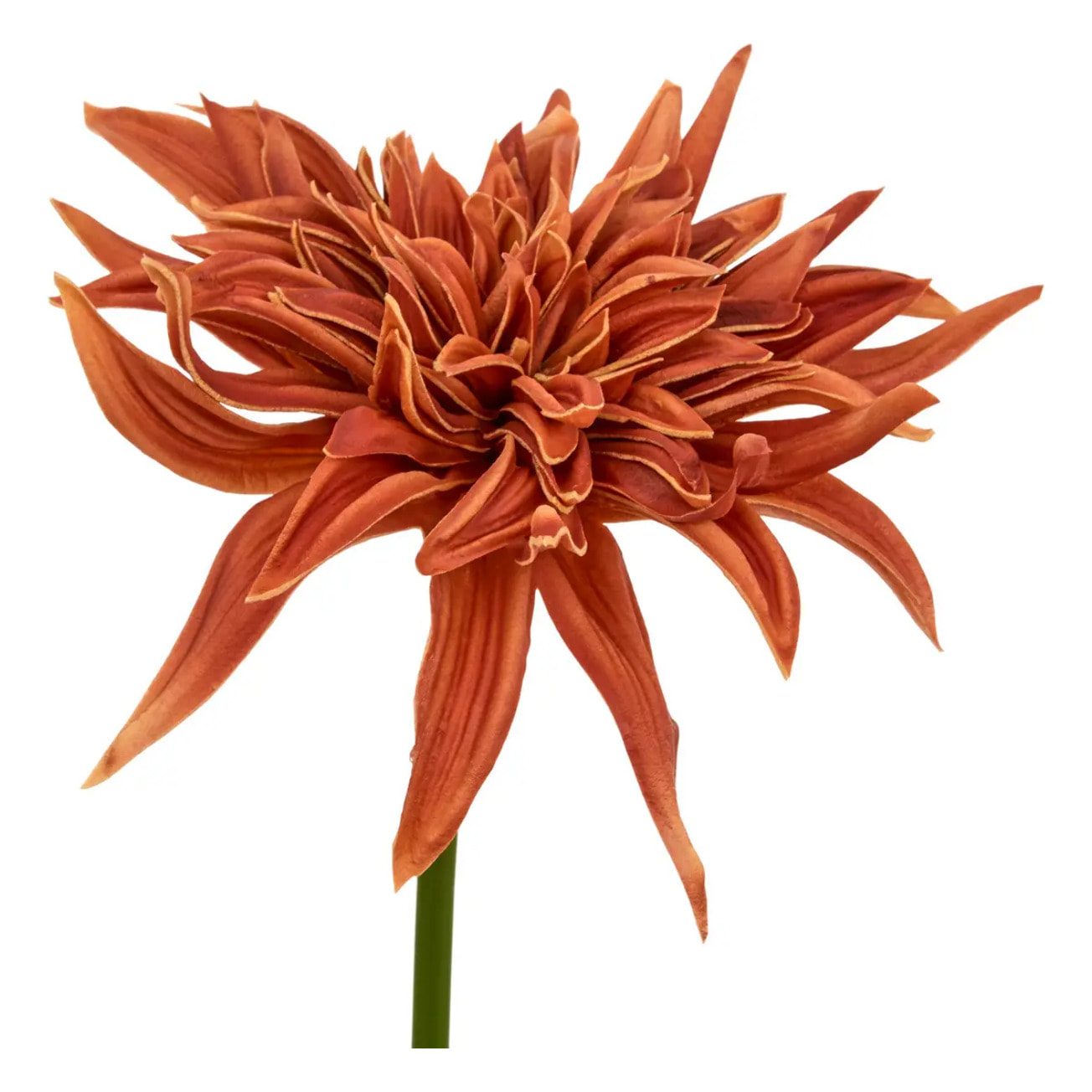 Tige décorative Homy H.55cm