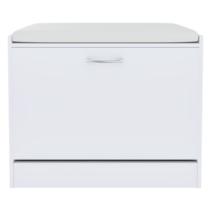 Panca Scarpiera Da Ingresso Salvaspazio Cuscino Anta Ribalta Seduta Imbottita In Ecopelle Soggiorno Casa Camera Ufficio 60 x 30 x 48 Cm Bianco