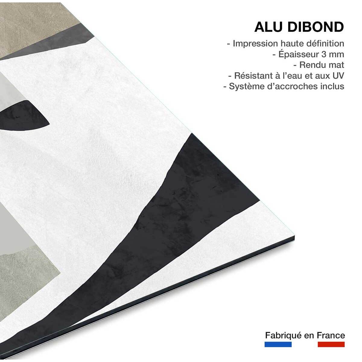 Tableau organique archive  Tableau alu Dibond