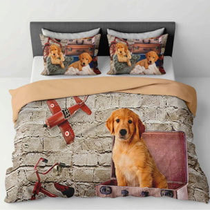 Parure Copripiumino in 100% Cotone con Federe Coordinate, Morbida e Traspirante, Certificata OEKO-TEX, Fantasie Moderne per Camera da Letto