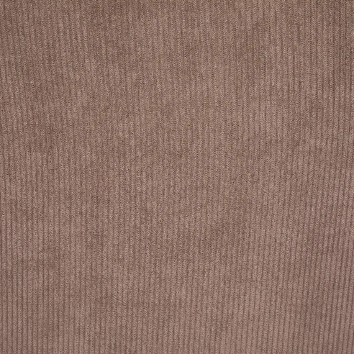 Chaise "Celeste" - velours côtelé - pieds imitation chêne - gris taupe