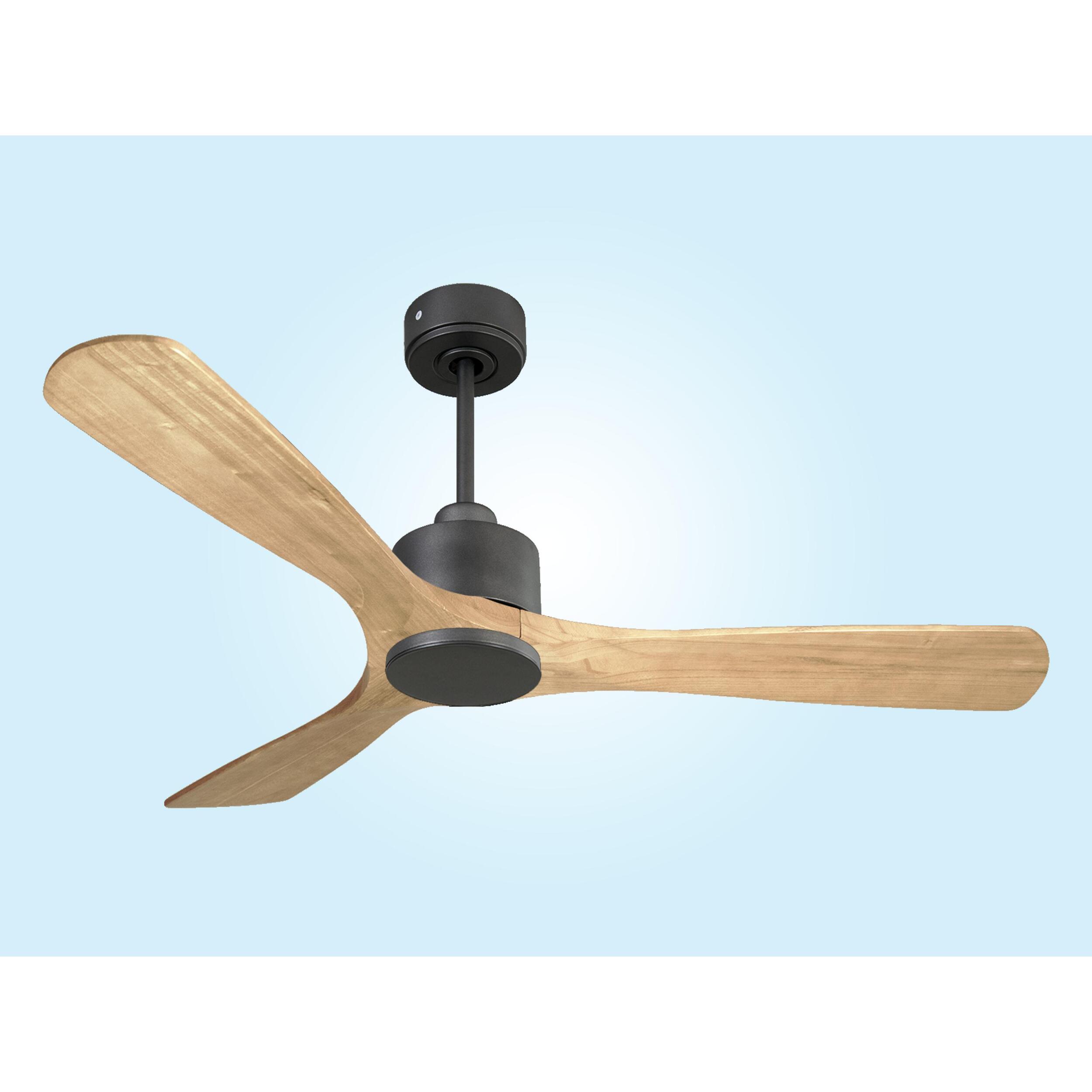 Ventilador de techo Reversible Termostato Wifi Motor DC Techos Inclinados Mando a Distancia Hypersilence Memoria ParosD132C0365203 PURLINE