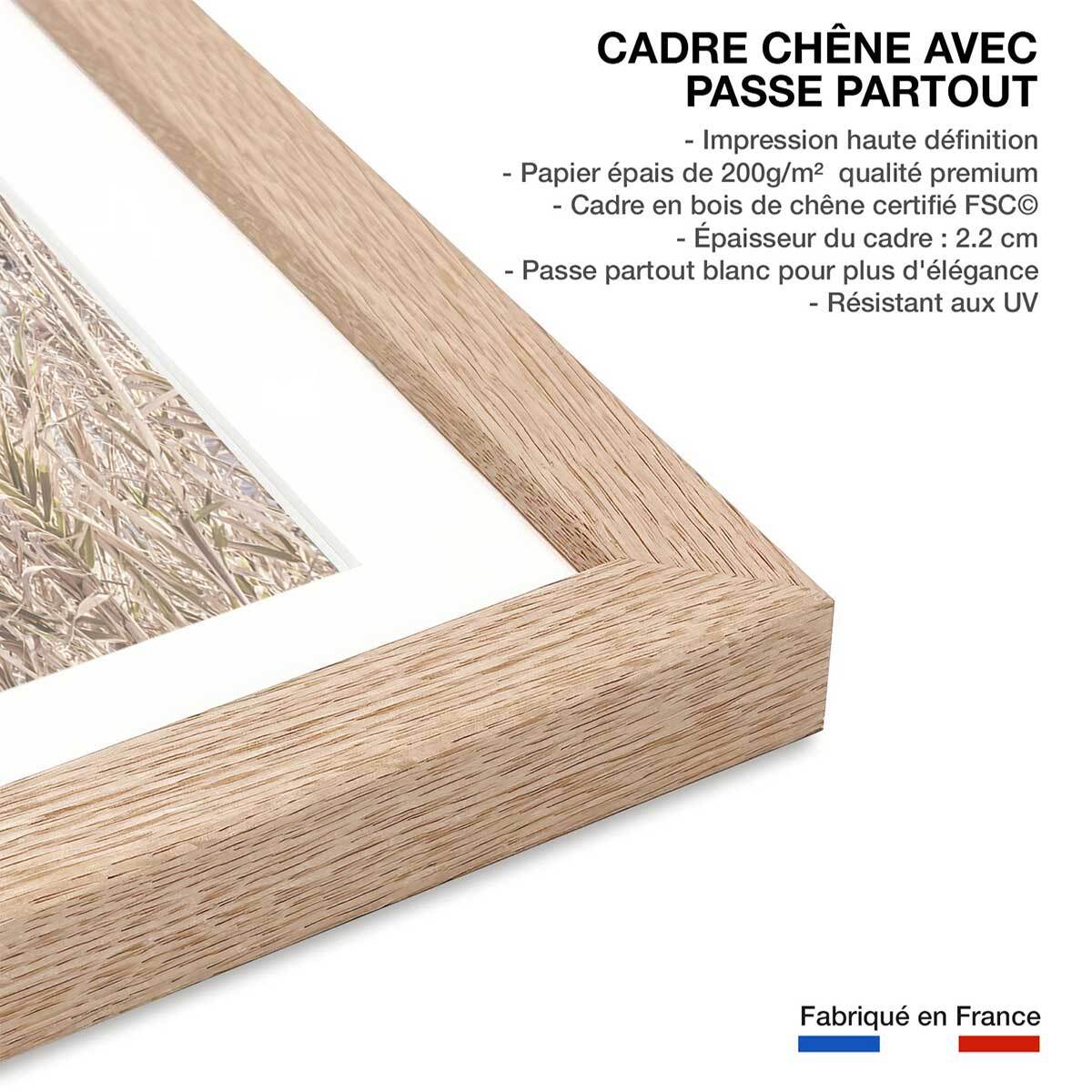 Poster épis au bord de l'eau Affiche + cadre en bois - Chêne