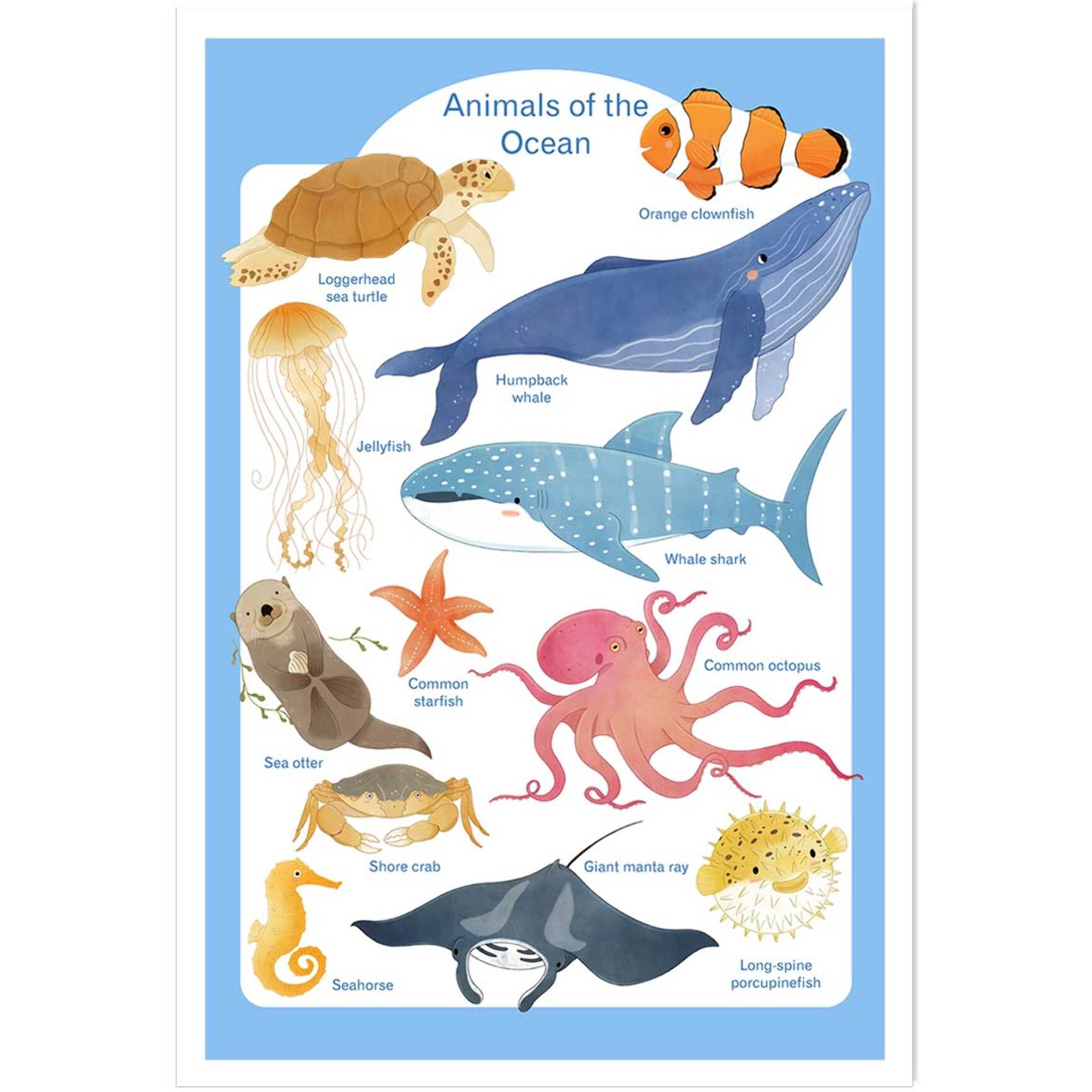 Affiche enfant animaux marins  Affiche seule