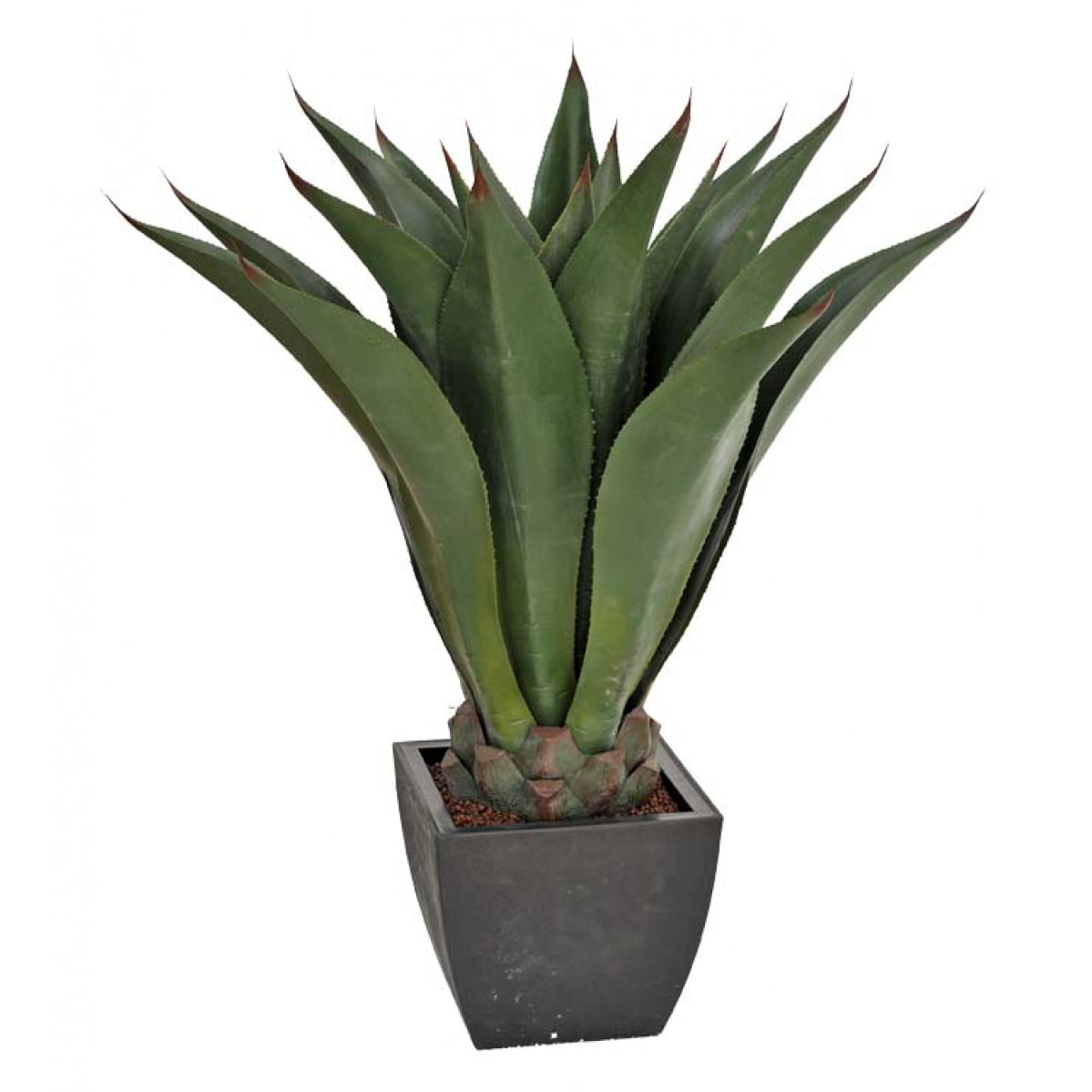 Agave Attenuata Con Vaso. Altezza 96 Cm - Pezzi 1 - 25X96X25cm - Colore: Verde - Bianchi Dino - Piante Artificiali