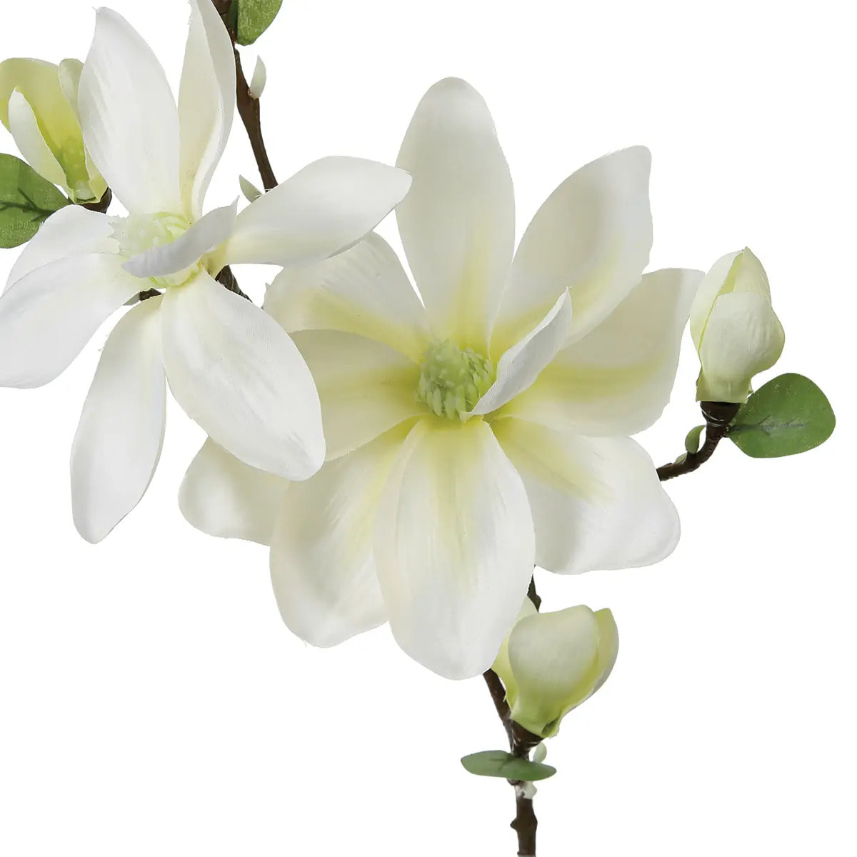 Tige de magnolia artificiel blanc H83cm