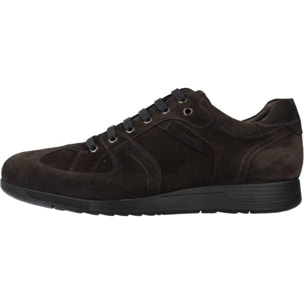 DERBIES - OXFORD STONEFLY LONDON 1 VELOUR