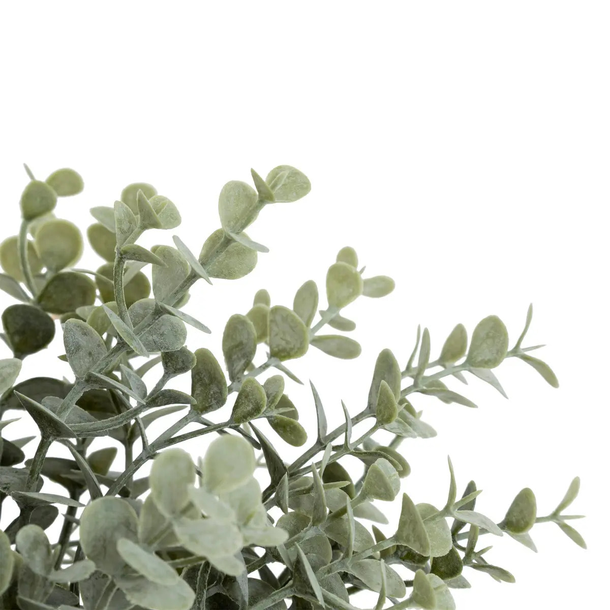 Bouquet eucalyptus artificiels James H30cm