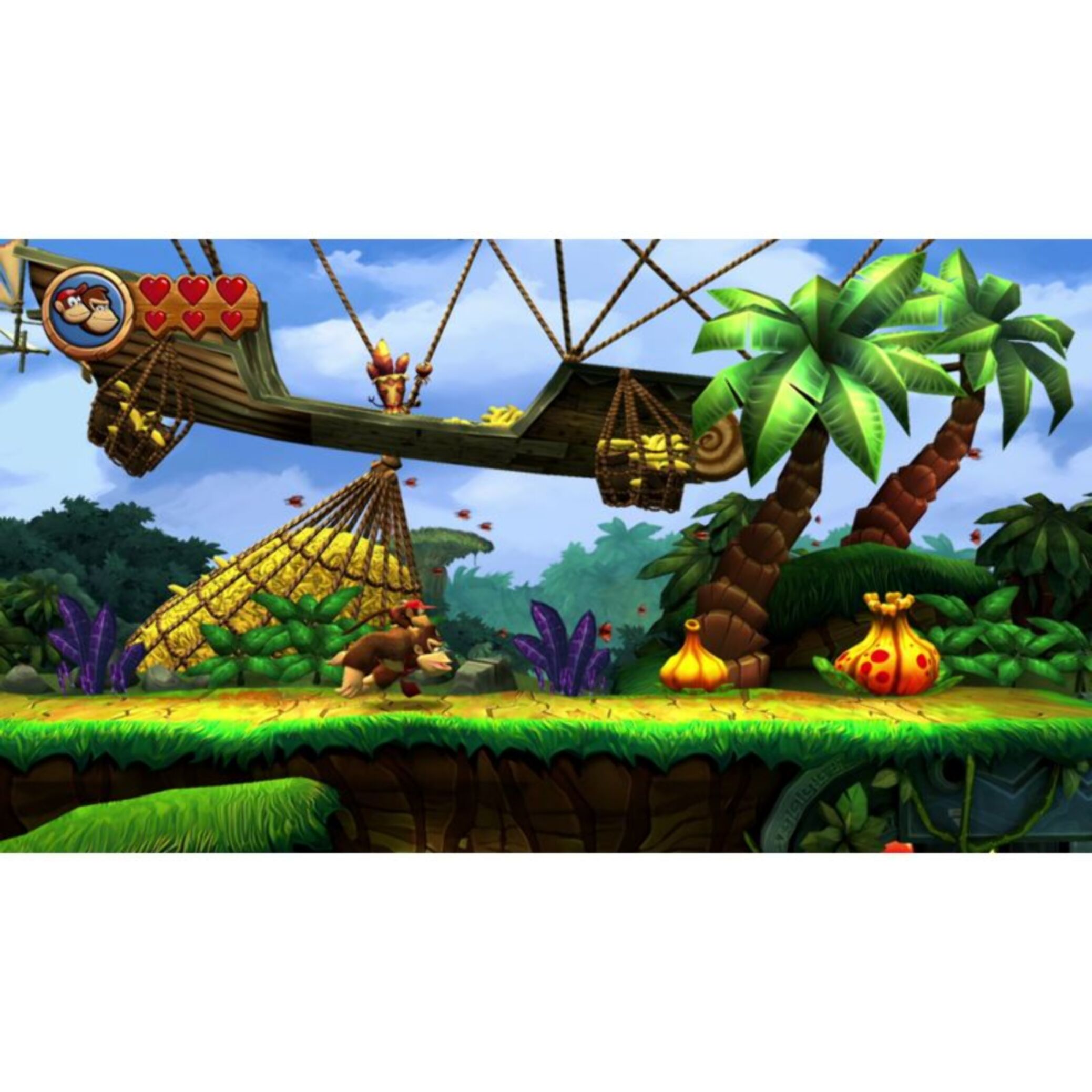 Jeu Switch NINTENDO DONKEY KONG COUNTRY RETURNS HD