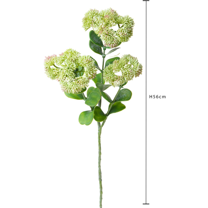 Sedum per 3 altezza 56 Cm - Pezzi 6 - 17X56X17cm - Colore: Verde - Bianchi Dino - Fiori Artificiali