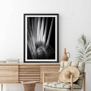 Poster jungle Marbella palm Affiche sous cadre noir