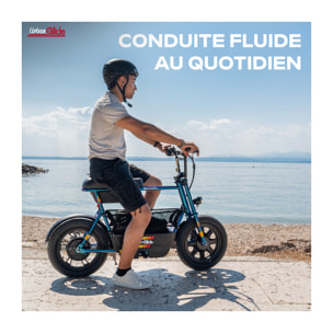 Draisienne Électrique UrbanGlide Thunder 160 – 30 km d'Autonomie, 25 km/h, 16'', Freinage à Disque