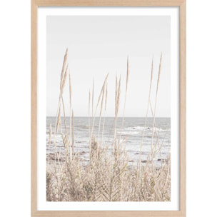 Poster épis au bord de l'eau Affiche + cadre en bois - Chêne