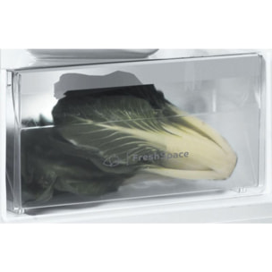 Réfrigérateur 1 porte INDESIT SI63QS