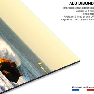 Tableau perfection landaise Tableau alu Dibond