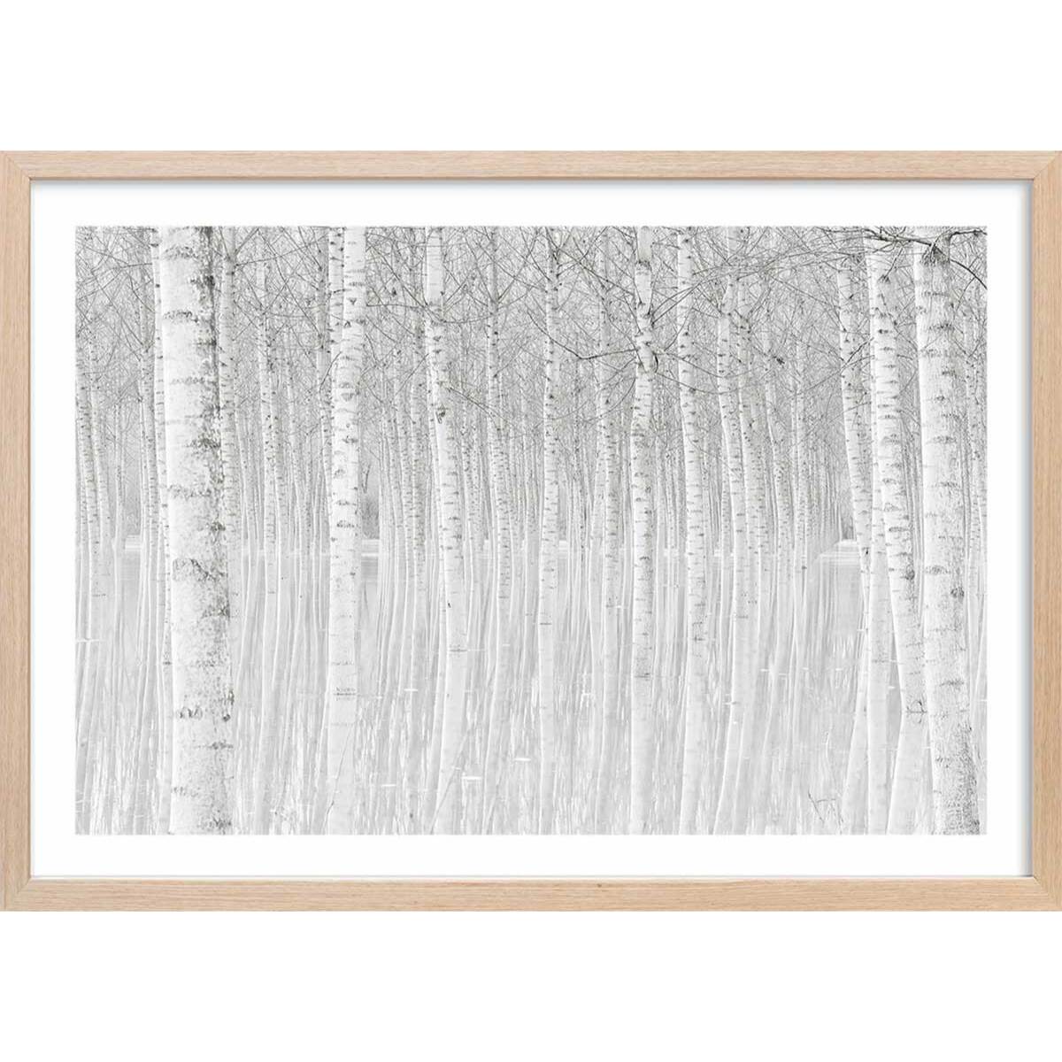 Affiche nature perspective trees Affiche + cadre en bois - Chêne