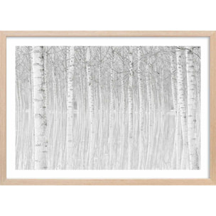 Affiche nature perspective trees Affiche + cadre en bois - Chêne