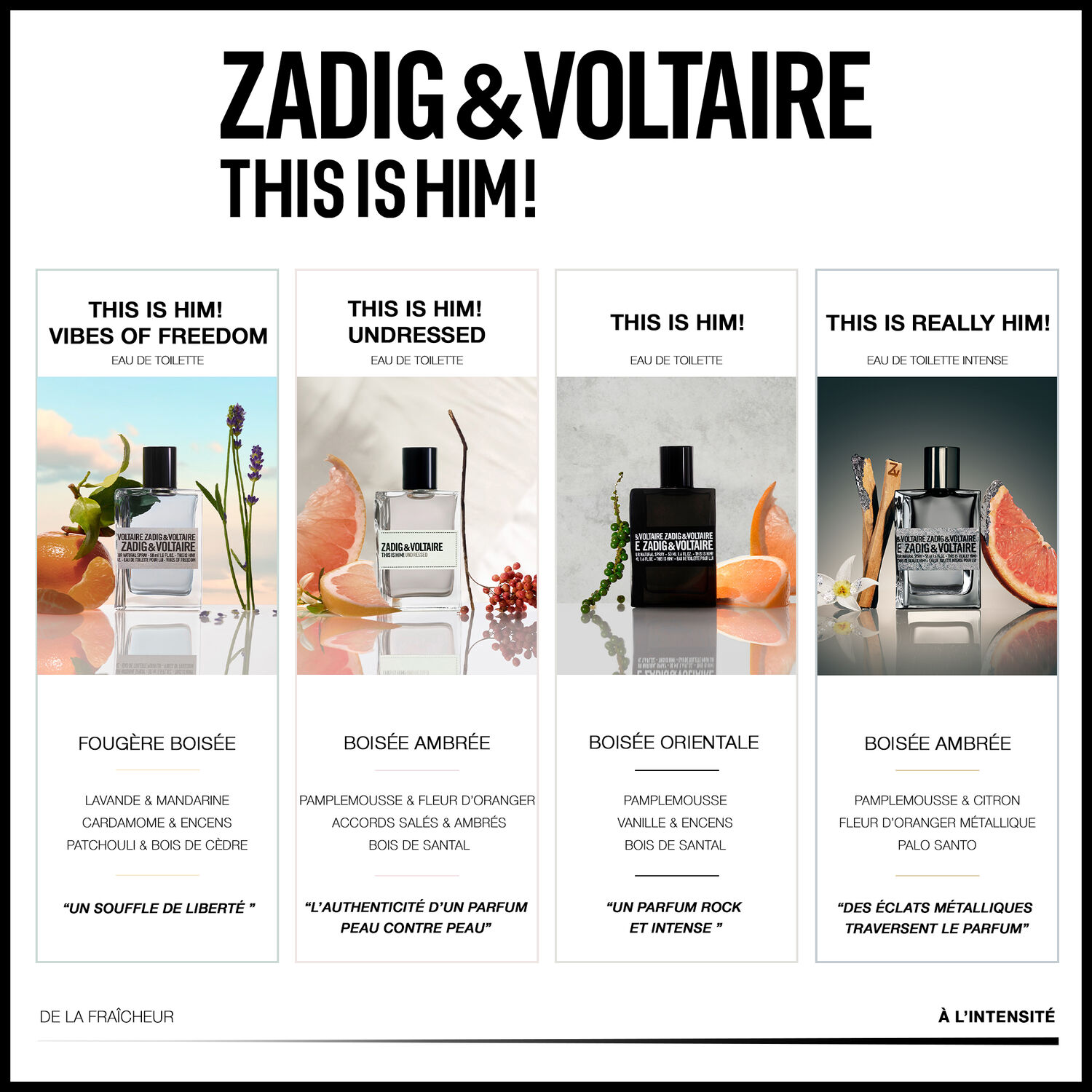 This is Him! Vibes of Freedom - Eau de Toilette