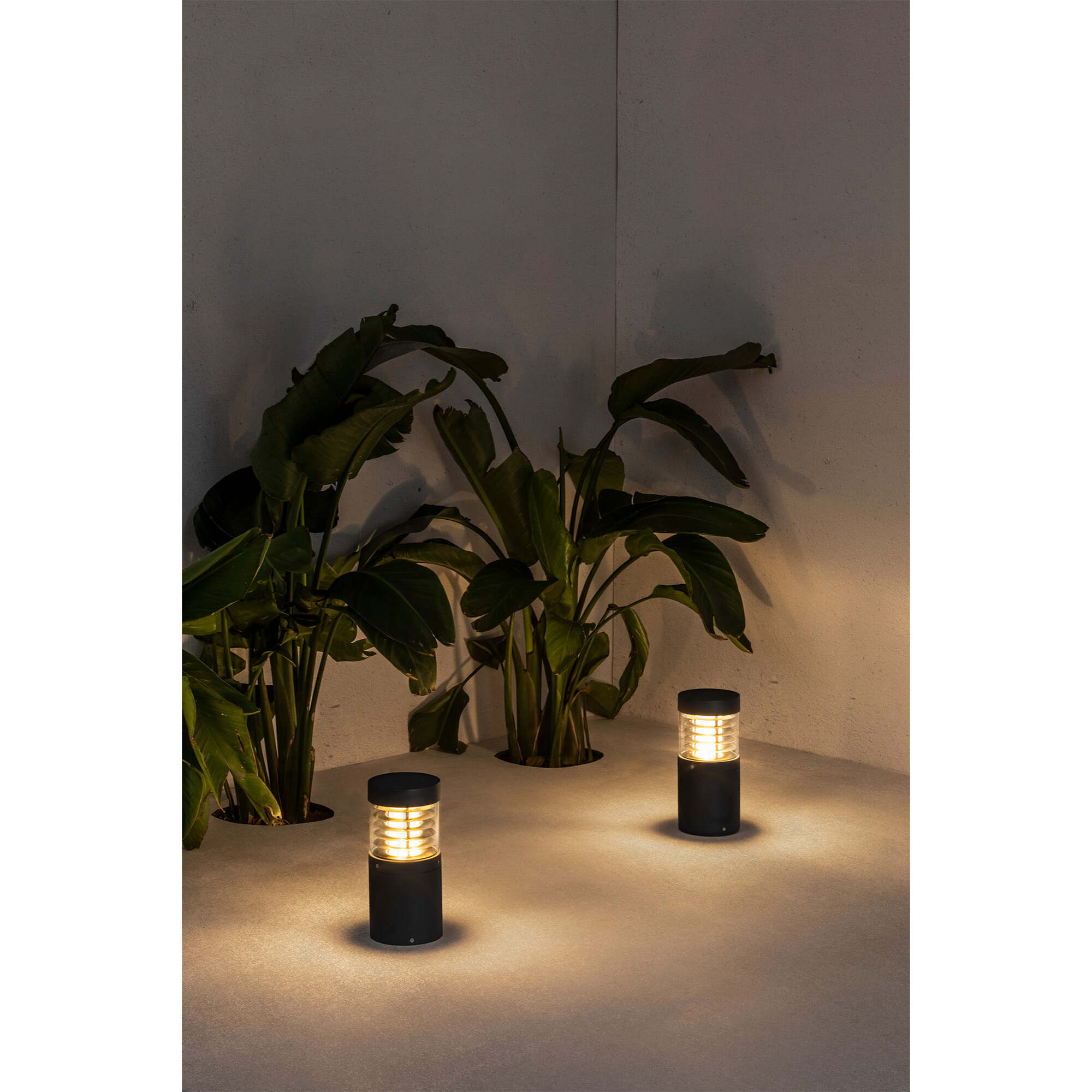 GIZA 265 Sobremuro gris oscuro