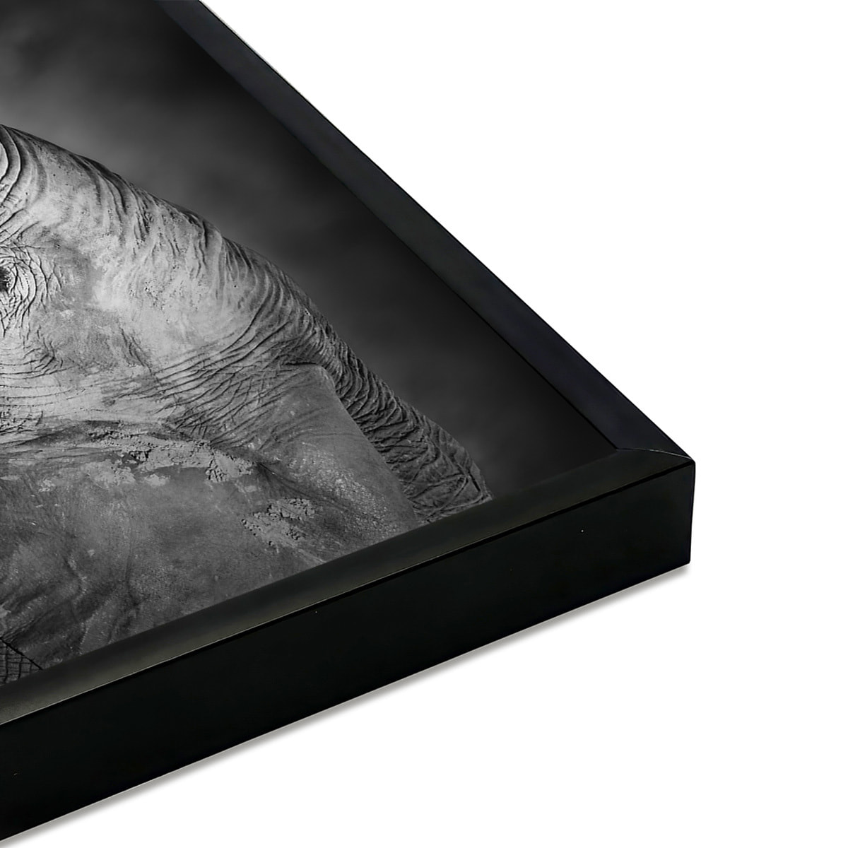 Affiche encadrée – Éléphants en noir et blanc, lien et émotion Affiche + cadre en métal - Noir