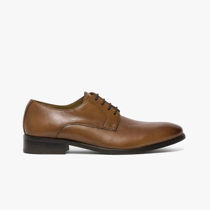 Derby Leonardo Cognac