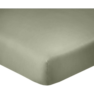 Drap Housse- Bonnet 25cm 100% Coton 57fils/cm2 Verveine