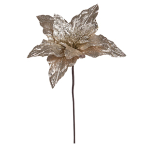 Stella natale - Pezzi 12 - 25xH50x25cm - Bianchi Dino SpA