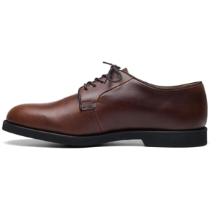 Scarpe allacciate Sebago Uomo Marrone WINTHROP PULL UP