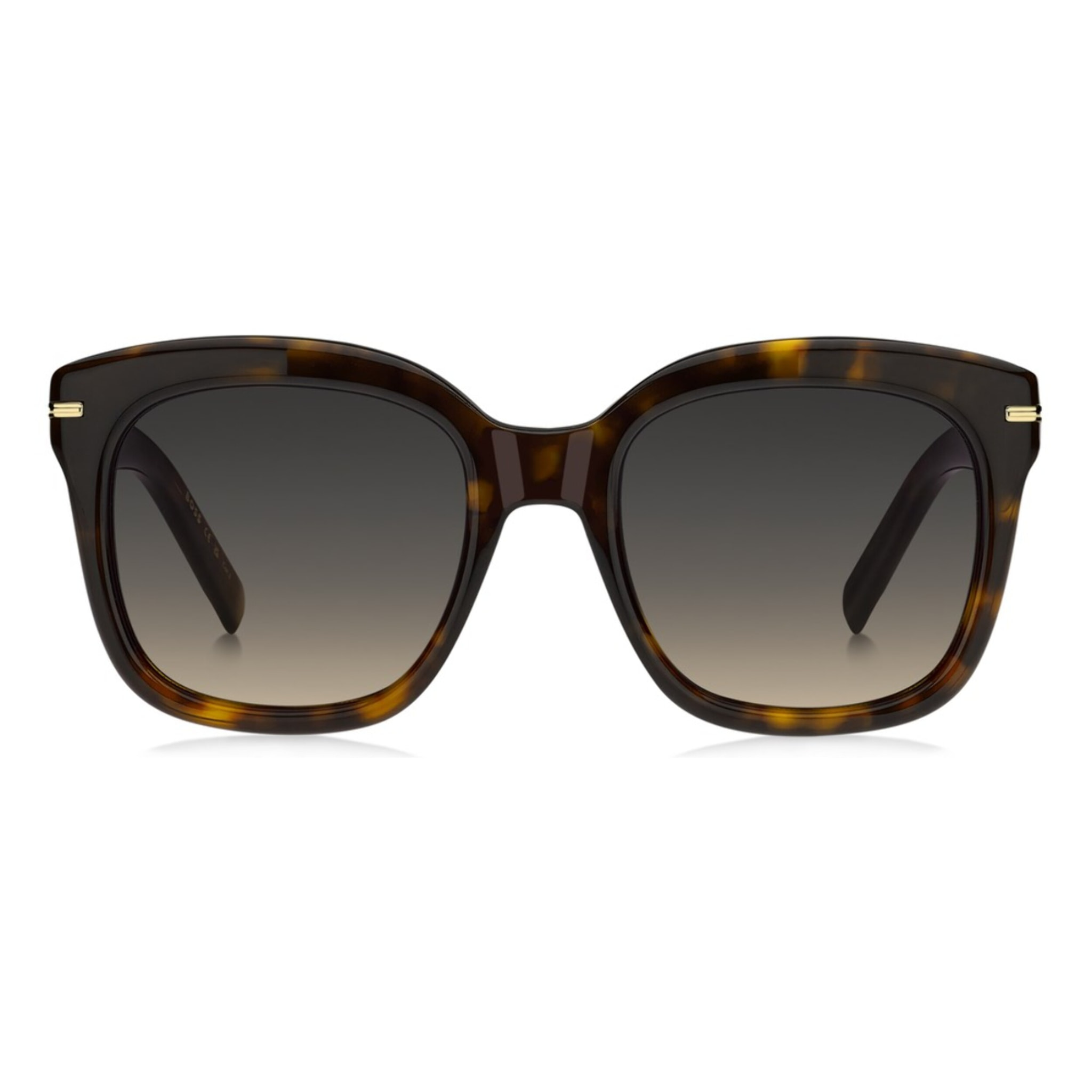 GAFAS DE SOL HUGO BOSS 1731/S 086