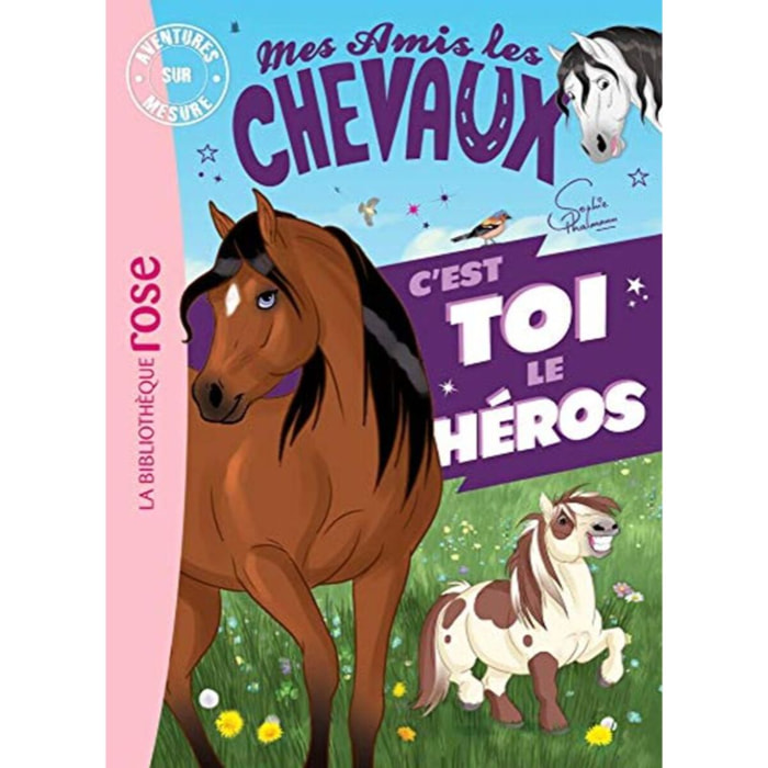 Livre, Hachette | Mes amis les chevaux - Aventures sur mesure XXL | Livre d'occasion