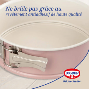 Ensemble de 2 Moules à manqué à charnière 20 cm Dr. Oetker Rétro