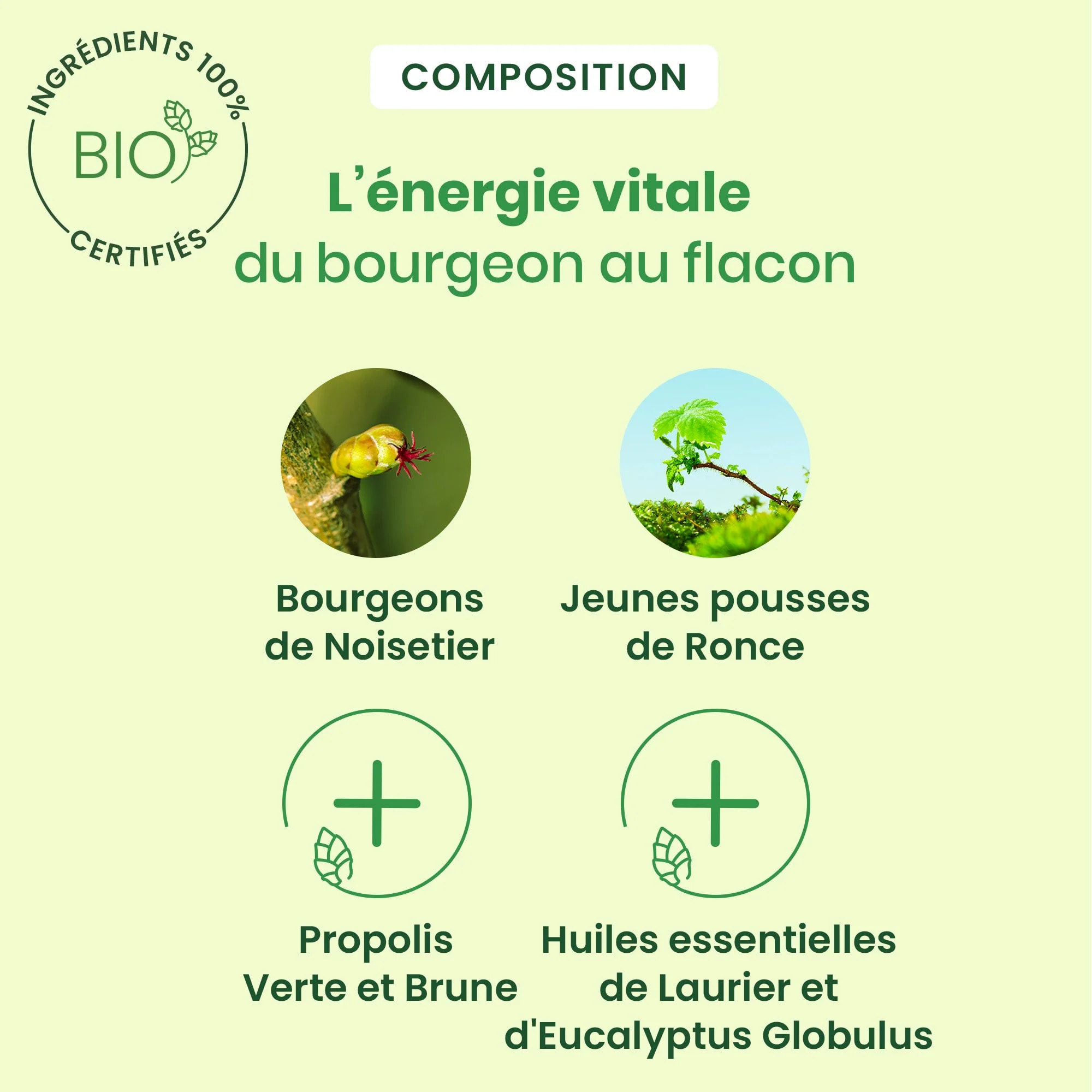 Herbalgem- Sirop Fumeurs - Bio - 250 ml