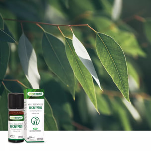 OLIOSEPTIL - Huile essentielle d'Eucalyptus Globulus - 100% Pure et naturelle - BIO - HEBBD (biochimiquement et botaniquement définie) - 100% origine naturelle - Flacon 10ml