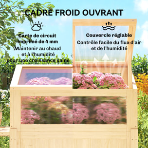 Carré potager sur pieds avec serre en bois naturel