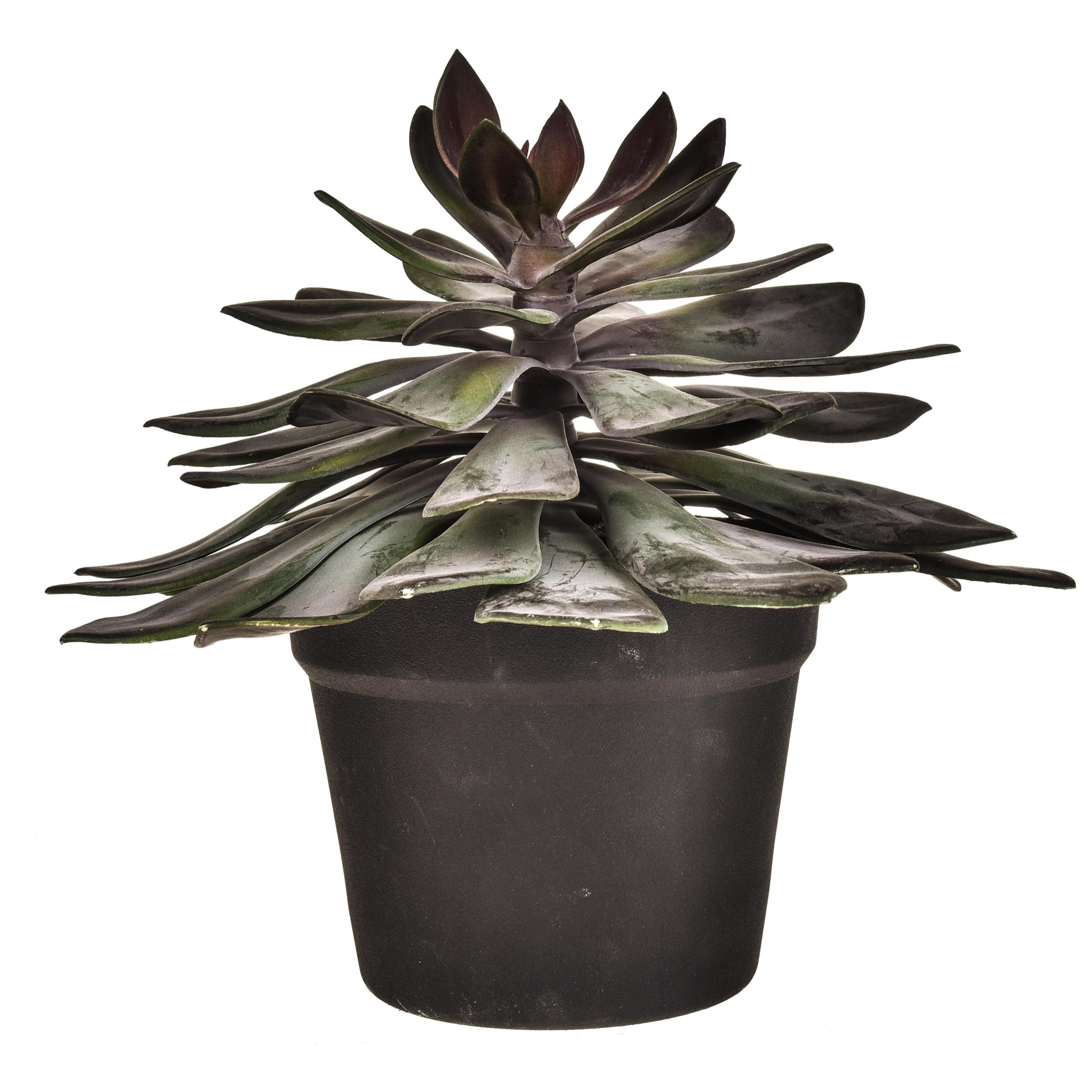 Succulent Con Vaso. Altezza 28 Cm - Pezzi 1 - 30X28X30cm - Colore: Incolore - Bianchi Dino - Piante Artificiali