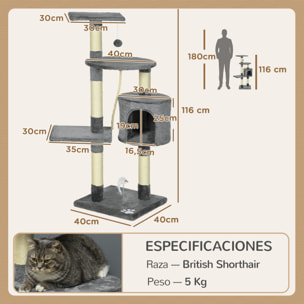Rascador para Gatos Altura 116 cm Árbol para Gatos Torre de Escalada con Postes Rascadores de Sisal Cueva Plataformas y Juguetes Divertidos Colgantes Gris Oscuro