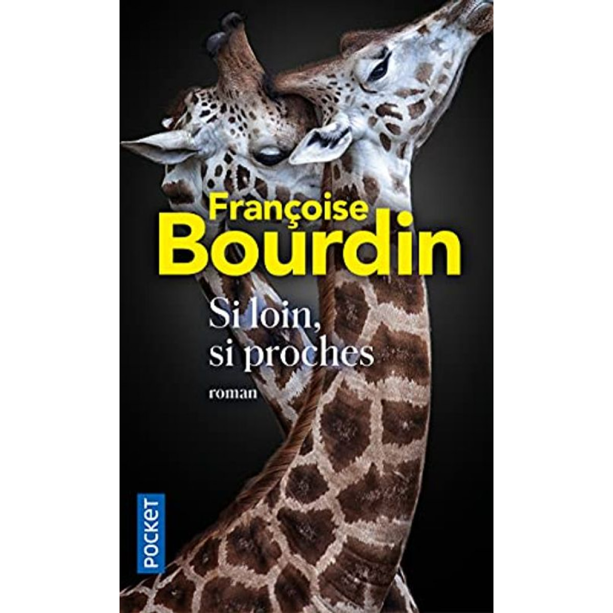 Bourdin, Françoise | Si loin, si proches | Livre d'occasion