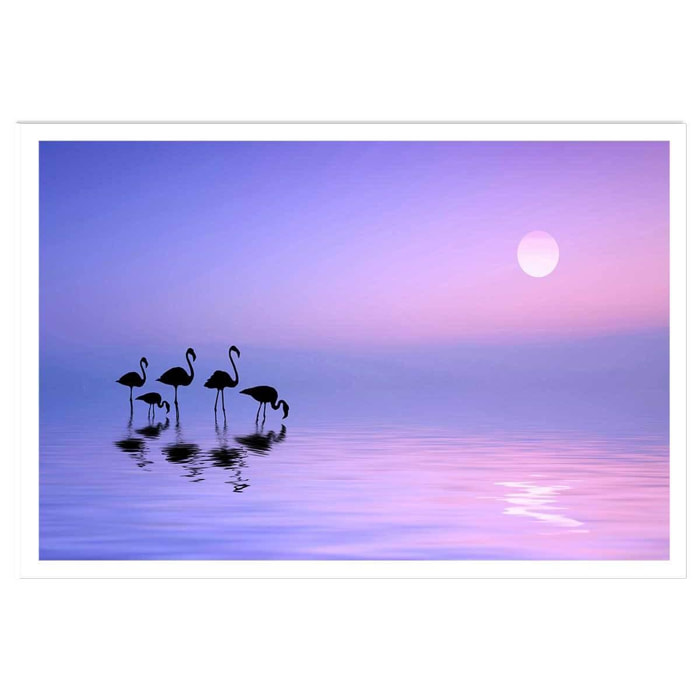 Affiche animaux Morning Flamingo Affiche seule