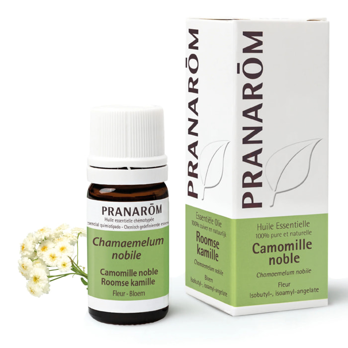 Pranarom - Huile Essentielle de Camomille noble - 5 ml